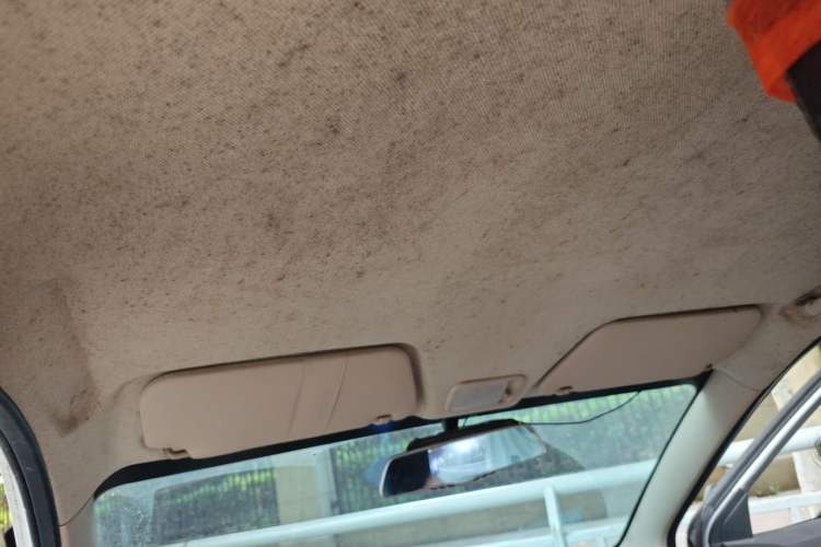 Used Wuling Hongguang 2015 1.5L S Basic Version China V Standard Headliner