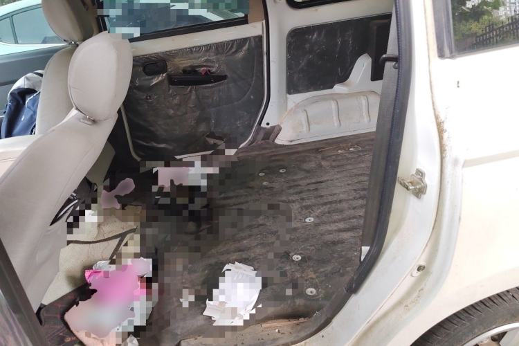 Used Wuling Hongguang 2015 1.2L S Base Model China V Standard Left Rear Seat