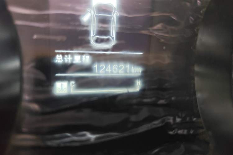 Used Wuling Hongguang 2015 1.5L S1 Comfort China V Standard Odometer Close Up