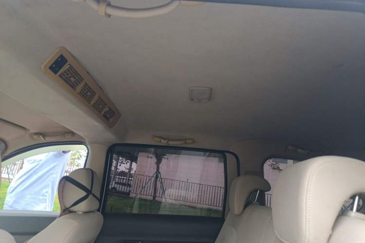 Used Wuling Hongguang 2016 1.5L Restyled S Comfort Version Headliner