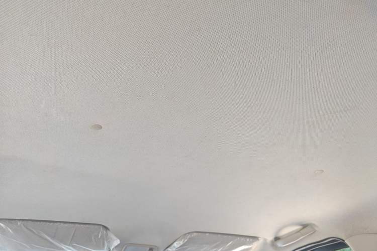 Used Wuling Hongguang 2016 1.5L S Comfort Version Headliner