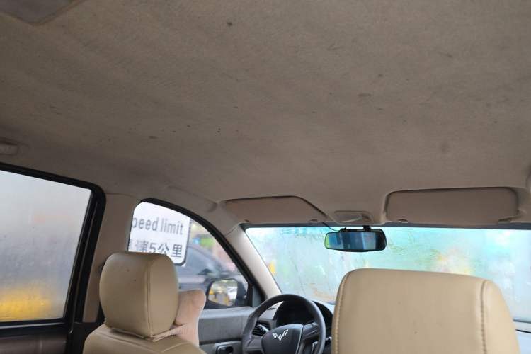 Used Wuling Hongguang 2016 1.5L Restyled S Comfort Version Headliner