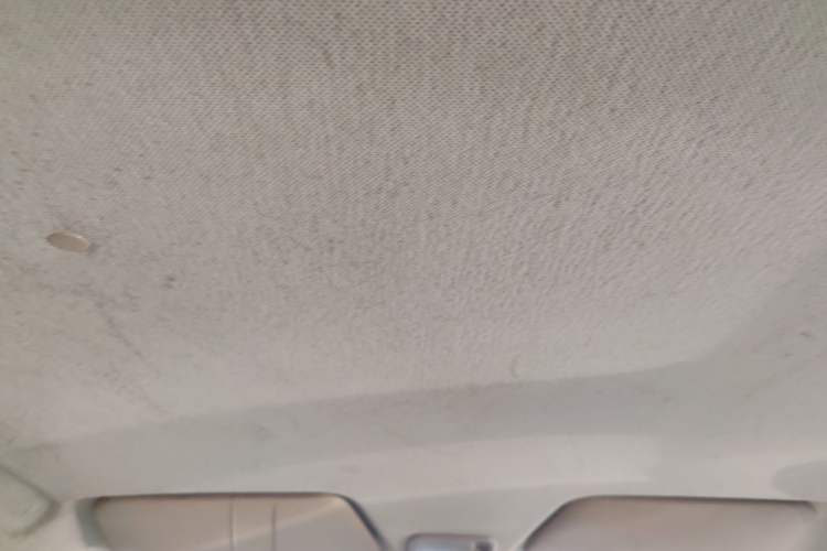 Used Wuling Hongguang 2018 1.5L Classic S Base Model Headliner