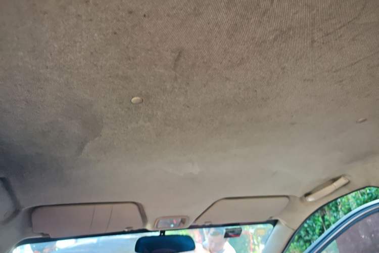 Used Wuling Hongguang 2018 1.5L Classic S Base Model Headliner