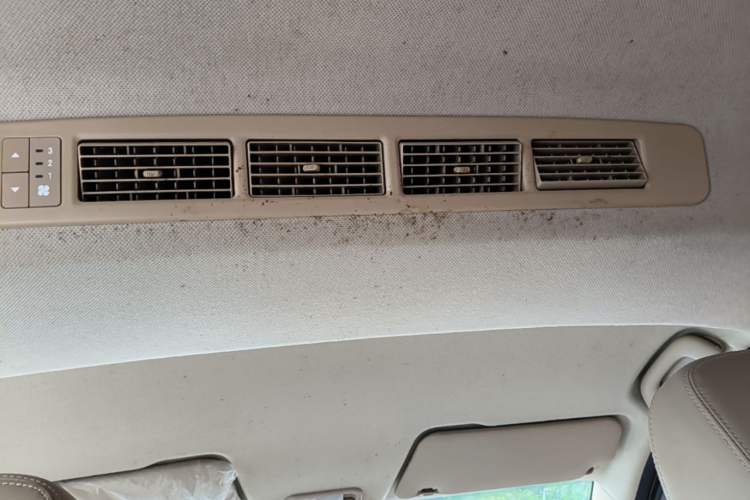 Used Wuling Hongguang 2018 1.5L S Comfort Model L2B Headliner