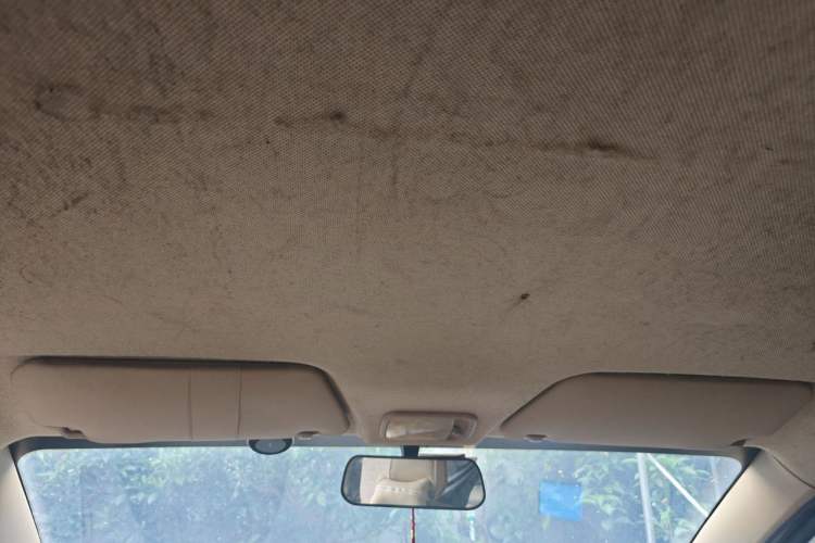 Used Wuling Hongguang 2018 1.5L Classic S Base Model Headliner