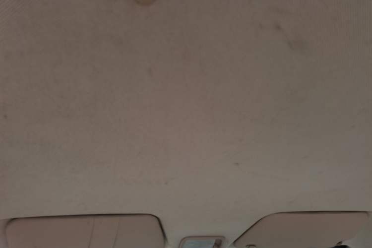 Used Wuling Hongguang 2018 1.5L Classic S Base Model Headliner