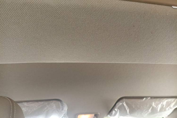 Used Wuling Hongguang 2019 1.5L S Comfort Edition China VI LAR Headliner