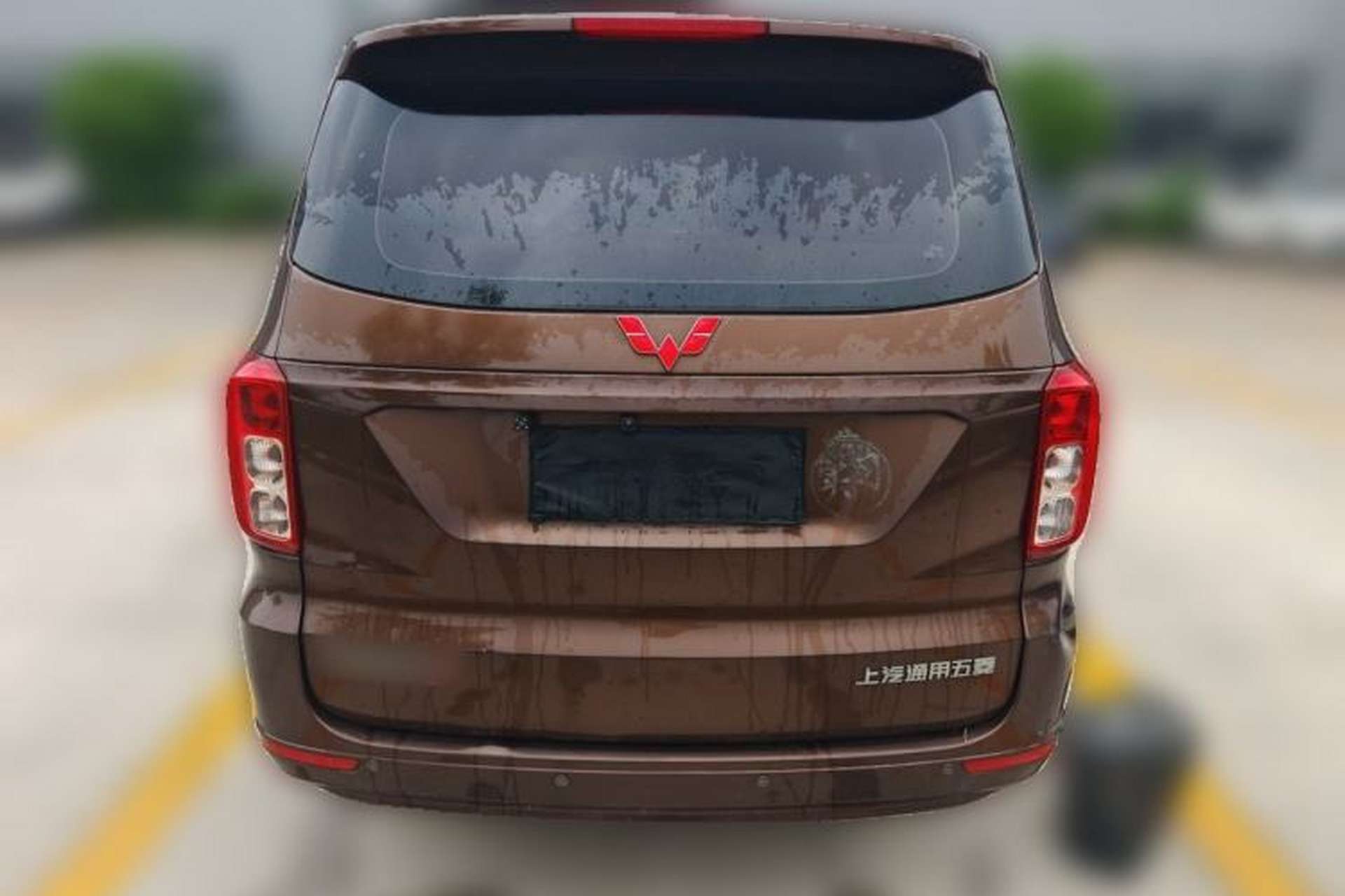 Used Wuling Hongguang 2019 1.5L S Standard Version China VI LAR Rear