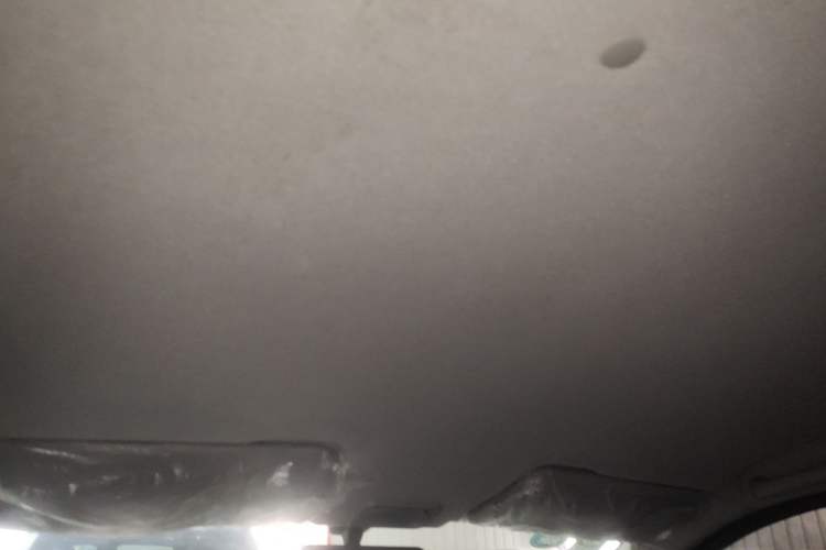 Used Wuling Hongguang 2019 1.5L S Basic Version China VI Standard LAR Headliner