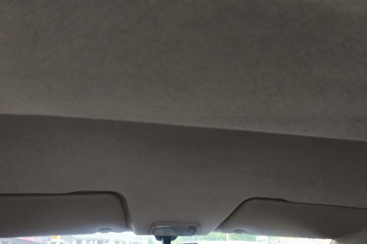 Used Wuling Hongguang 2019 1.5L S Standard Version China VI LAR Headliner