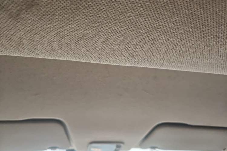 Used Wuling Hongguang 2019 1.5L S Standard Version China VI LAR Headliner