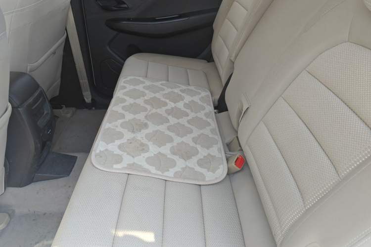 Used Wuling Hongguang 2019 1.5L S Standard Version China VI LAR Left Rear Seat