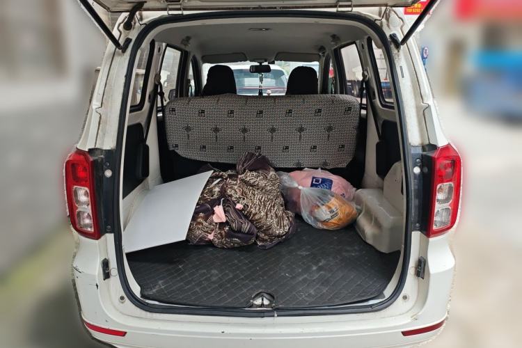 Used Wuling Hongguang 2019 1.5L S Basic Version China VI Standard LAR Trunk