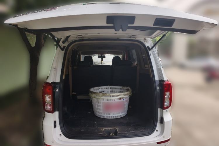 Used Wuling Hongguang 2019 1.5L S Standard Version China VI LAR Trunk