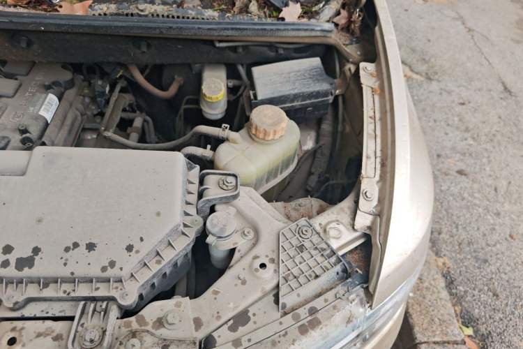 Used Wuling Hongguang 2019 1.5L S Basic Window-Sealed Vehicle China VI LAR Engine Bay Left