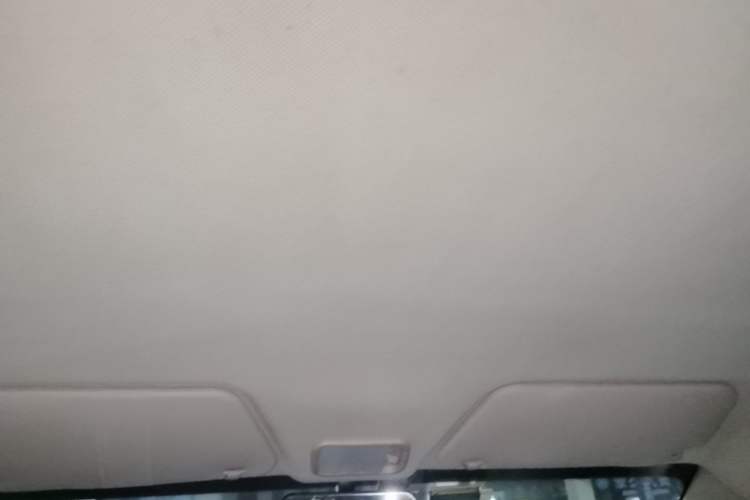 Used Wuling Hongguang 2020 1.2L S Base Model China VI LSI Headliner
