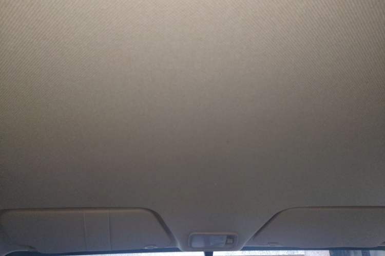 Used Wuling Hongguang 2020 1.2L S Base Model China VI LSI Headliner