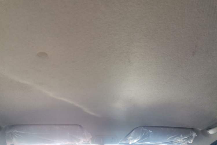 Used Wuling Hongguang 2020 1.2L S Base Model China VI LSI Headliner