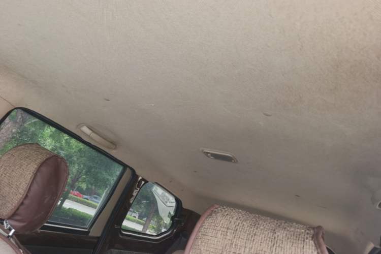 Used Wuling Hongguang 2020 1.2L S Base Model China VI LSI Headliner