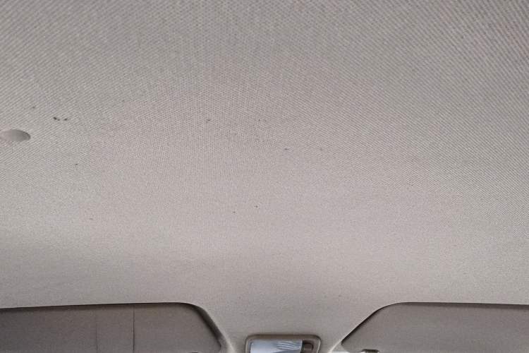 Used Wuling Hongguang 2020 1.2L S Base Model China VI LSI Headliner