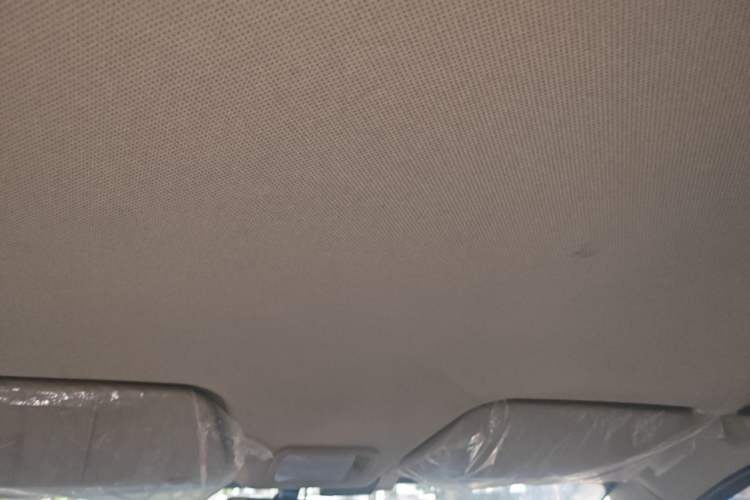 Used Wuling Hongguang 2020 1.2L S Base Model China VI LSI Headliner