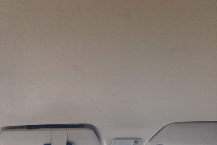 Used Wuling Hongguang 2020 1.2L S Base Model China VI LSI Headliner