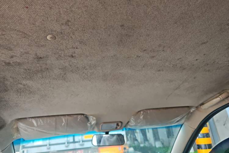 Used Wuling Hongguang 2020 1.2L S Base Model China VI LSI Headliner