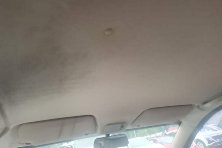 Used Wuling Hongguang 2020 1.2L S Base Model China VI LSI Headliner