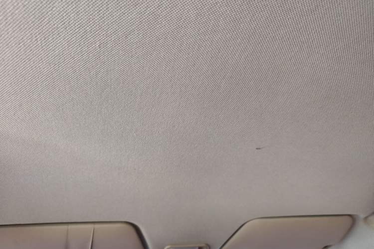 Used Wuling Hongguang 2020 1.2L S Base Model China VI LSI Headliner