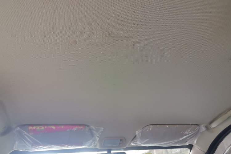 Used Wuling Hongguang 2020 1.2L S Base Model China VI LSI Headliner