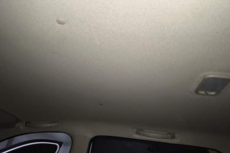 Used Wuling Hongguang 2020 1.2L S Base Model China VI LSI Headliner