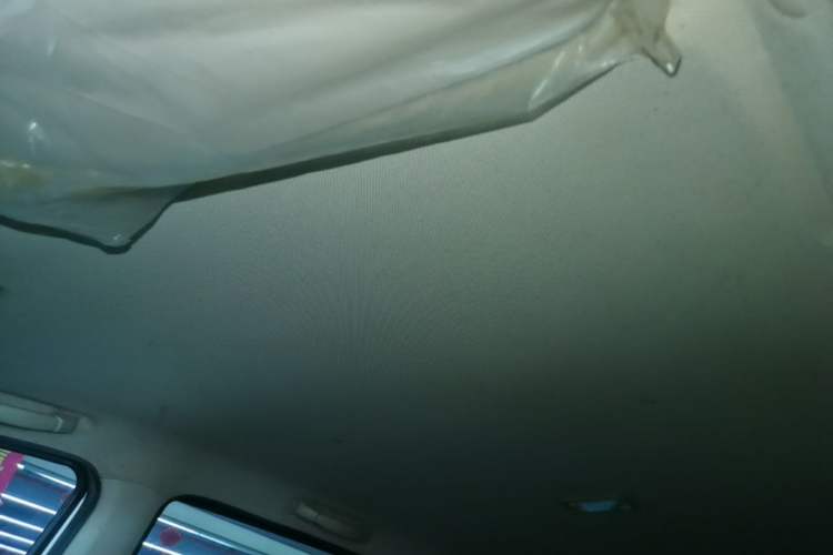 Used Wuling Hongguang 2020 1.2L S Base Model China VI LSI Headliner