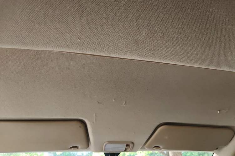 Used Wuling Hongguang 2021 1.5L Revised S Standard Version Hydraulic-Power-Assisted LAR Headliner