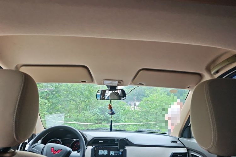 Used Wuling Hongguang 2021 1.5L Revised S Standard Version Hydraulic-Power-Assisted LAR Headliner