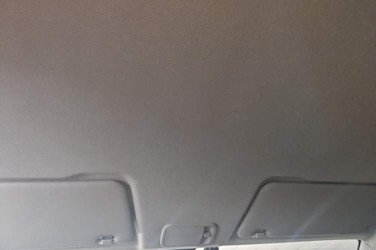 Used Wuling Hongguang 2021 1.5L S Base Version LAR Headliner