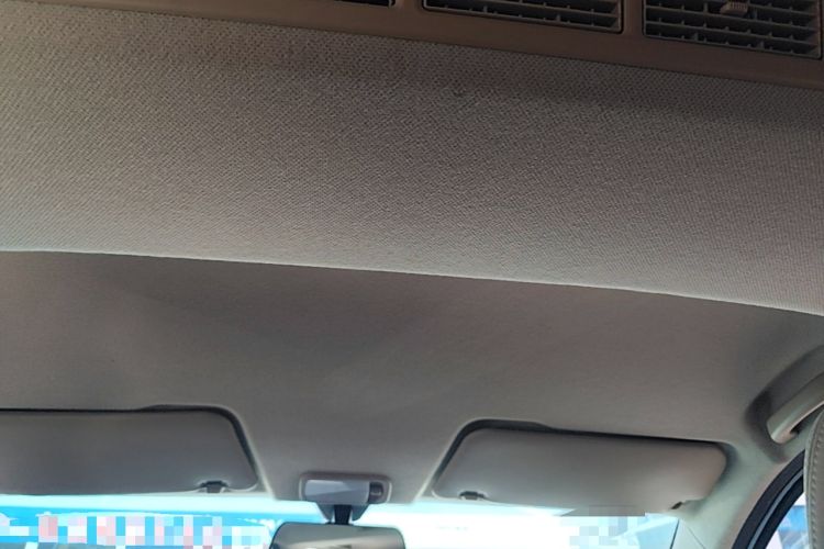 Used Wuling Hongguang 2021 1.5L S Standard Version LAR Headliner