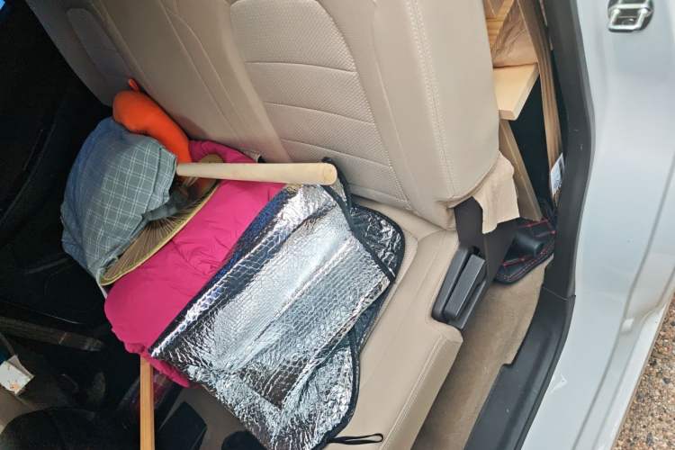 Used Wuling Hongguang 2021 1.5L Revised S Standard Version Hydraulic-Power-Assisted LAR Left Rear Seat