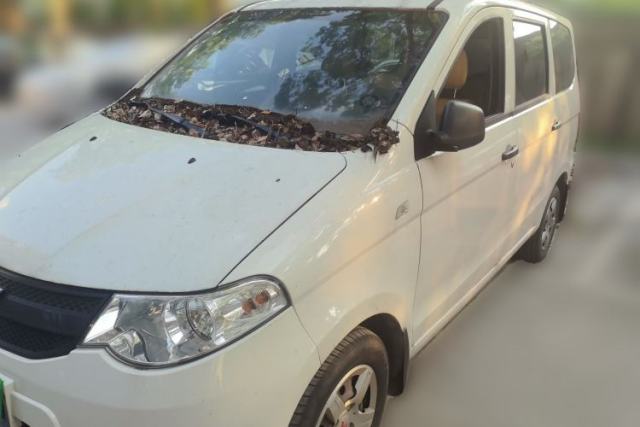 Used Wuling Hongguang 2021 1.5L Revised S Base Version with Electric Power Steering LAR