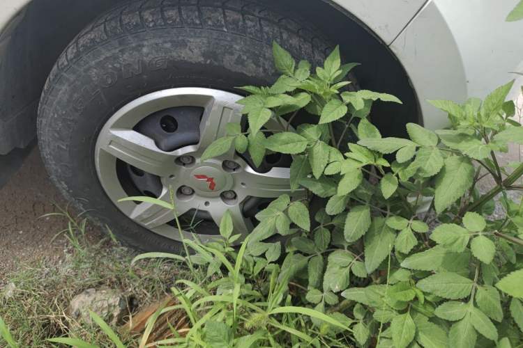 Used Wuling Hongguang 2021 1.5L Revised S Standard Version with Electric Power Steering LAR Right Front Wheel Hub