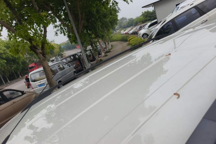 Used Wuling Hongguang 2021 1.5L Revised S Standard Version Hydraulic-Power-Assisted LAR Roof