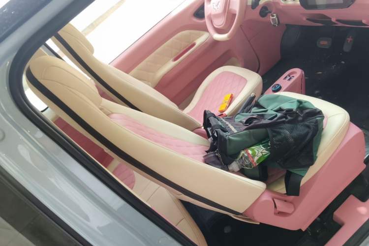 Used Wuling Hongguang MINIEV 2020 Enjoyment Model Lithium Iron Phosphate Right Front Seat