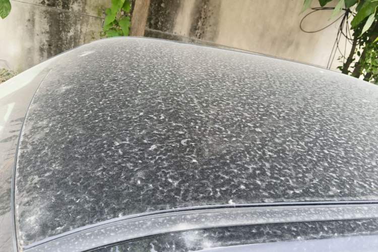 Used Wuling Hongguang MINIEV 2020 Enjoyment Model Lithium Iron Phosphate Roof