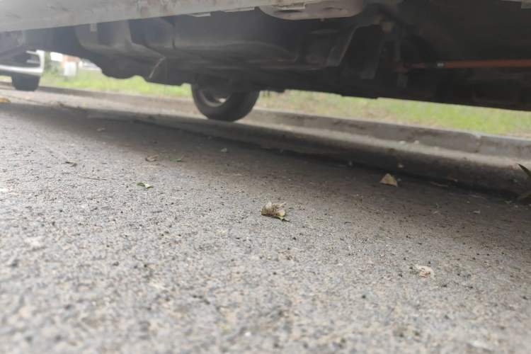 Used Wuling Hongguang MINIEV 2020 Enjoyment Model Lithium Iron Phosphate Chassis Front Right