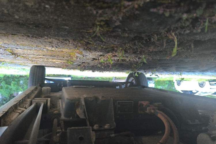 Used Wuling Hongguang MINIEV 2020 Zizai Version Lithium-NMC Chassis Rear Right