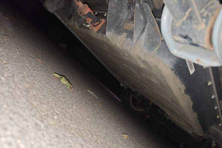 Used Wuling Hongguang MINIEV 2020 Freedom Version Lithium Iron Phosphate Chassis Rear Right