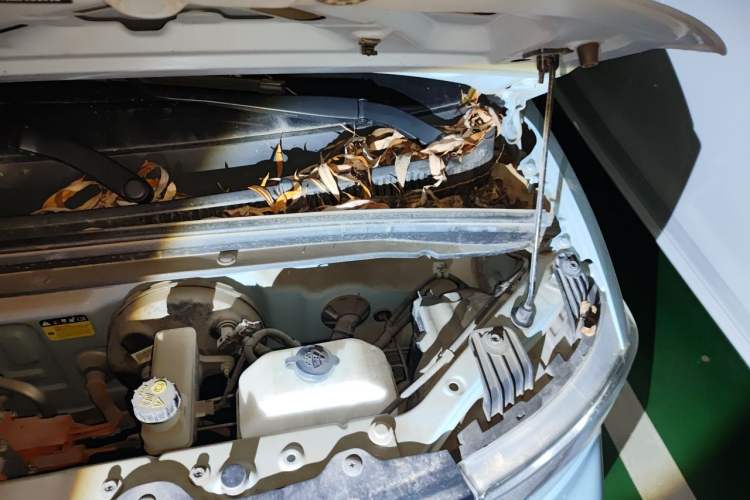 Used Wuling Hongguang MINIEV 2020 Freedom Version Lithium Iron Phosphate Engine Bay Left