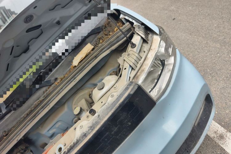 Used Wuling Hongguang MINIEV 2020 Freedom Version Lithium Iron Phosphate Engine Bay Left