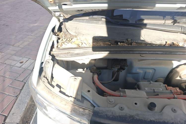 Used Wuling Hongguang MINIEV 2020 Freedom Version Lithium Iron Phosphate Engine Bay Right