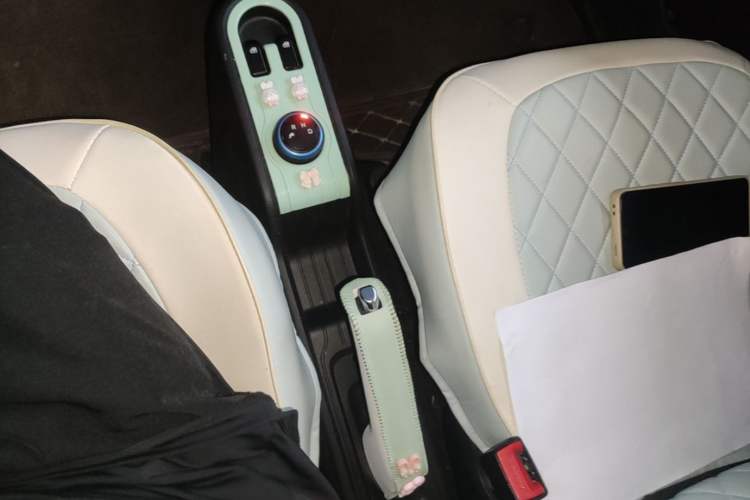Used Wuling Hongguang MINIEV 2020 Enjoyment Model Lithium Iron Phosphate Gear Lever